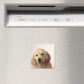Golden Retriever Puppy Magneet (Insitu (Vaatwasser))