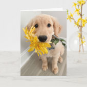 Golden Retriever puppy met blote Moederdag Kaart (Gele Bloem)