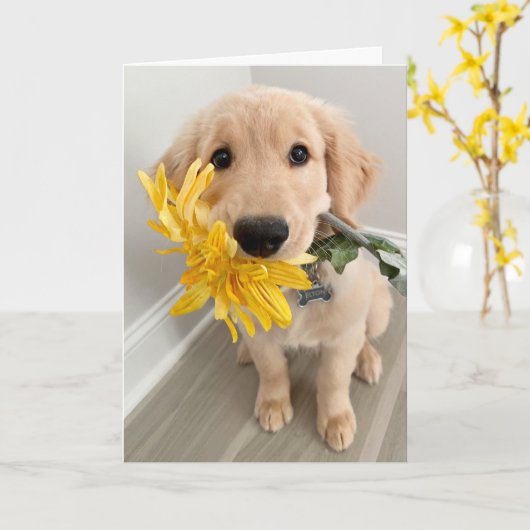 Golden Retriever puppy met blote Moederdag Kaart (Gele Bloem)