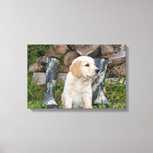 Golden Retriever Puppy met laarzen Canvas Afdruk