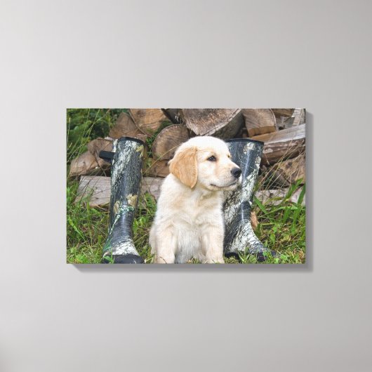 Golden Retriever Puppy met laarzen Canvas Afdruk (Voorkant)
