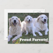 Golden Retriever Puppy met Proud Parents Briefkaart (Voorkant / Achterkant)