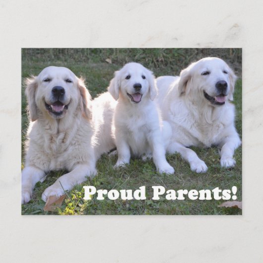 Golden Retriever Puppy met Proud Parents Briefkaart (Voorkant)