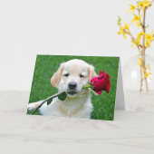 Golden Retriever Puppy met Red Rose Kaart (Gele Bloem)