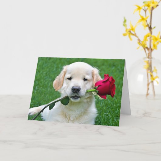 Golden Retriever Puppy met Red Rose Kaart (Gele Bloem)