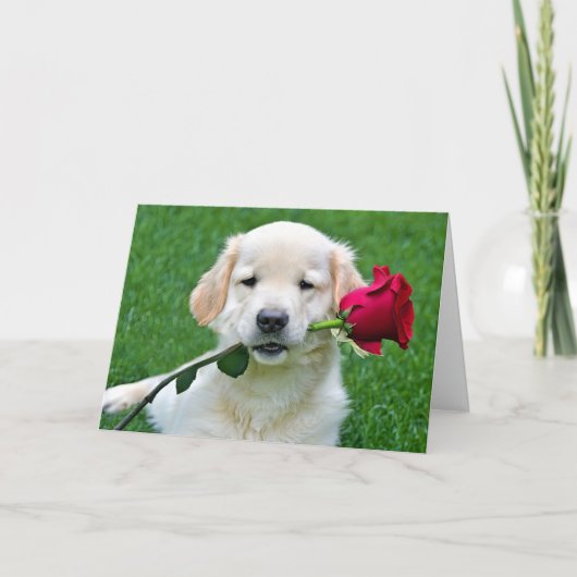 Golden Retriever Puppy met Red Rose Kaart (Voorkant)