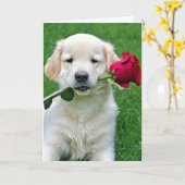 Golden Retriever Puppy met Red Rose Kaart (Gele Bloem)