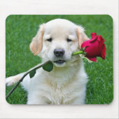 Golden Retriever Puppy met Red Rose Muismat (Voorkant)
