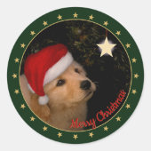 Golden Retriever Puppy met Santa Hat Sticker (Voorkant)