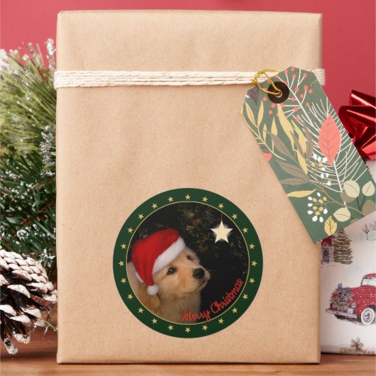 Golden Retriever Puppy met Santa Hat Sticker (Feestdagen)