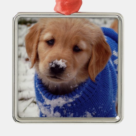 Golden Retriever Puppy Metalen Ornament (Voorkant)