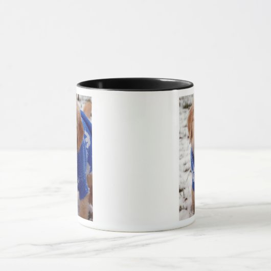 Golden Retriever Puppy Mok (Midden)