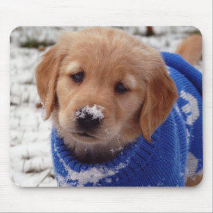 Golden Retriever Puppy Muismat