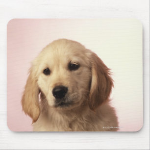 Golden Retriever Puppy Muismat