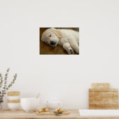Golden Retriever Puppy neemt een nap Poster (Keuken)