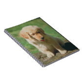Golden Retriever Puppy notebook Notitieboek (Rechterzijde)