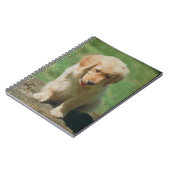 Golden Retriever Puppy notebook Notitieboek (Linkerzijde)