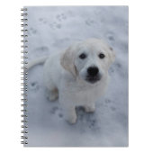 Golden Retriever Puppy Notepad Notitieboek (Voorkant)