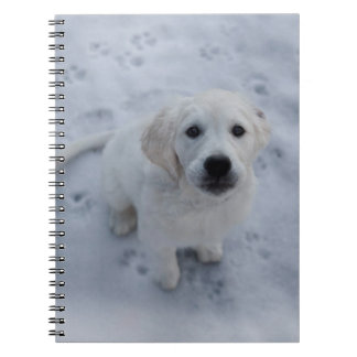 Golden Retriever Puppy Notepad Notitieboek