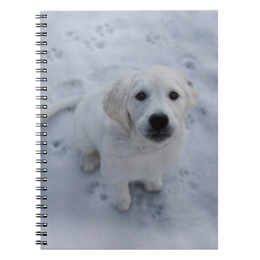 Golden Retriever Puppy Notepad Notitieboek (Voorkant)
