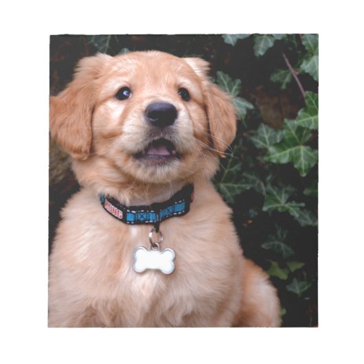 Golden Retriever Puppy Notitieblok (Voorkant)