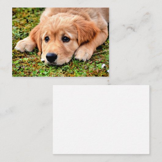 Golden Retriever Puppy Notitiekaartje (Voorkant / Achterkant)