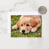 Golden Retriever Puppy Notitiekaartje (Voorkant / Achterkant in situ)