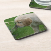 Golden Retriever Puppy Onderzetter (Linkerzijde)