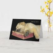 Golden retriever puppy op boek kaart (Gele Bloem)