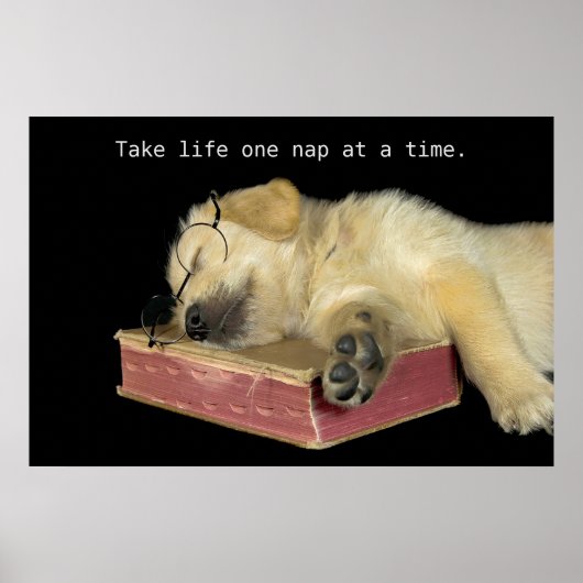 Golden Retriever Puppy op boek Poster (Voorkant)