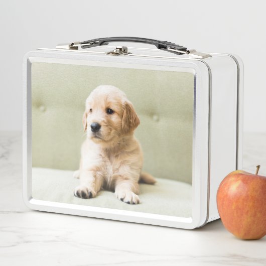 Golden Retriever Puppy op Couch (In situ)