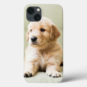 Golden Retriever Puppy op Couch Case-Mate iPhone Case
