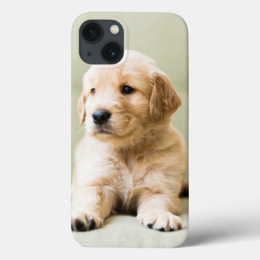 Golden Retriever Puppy op Couch Case-Mate iPhone Case (Achterkant)