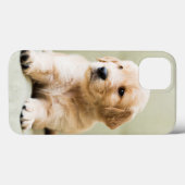 Golden Retriever Puppy op Couch Case-Mate iPhone Case (Achterkant (horizontaal))