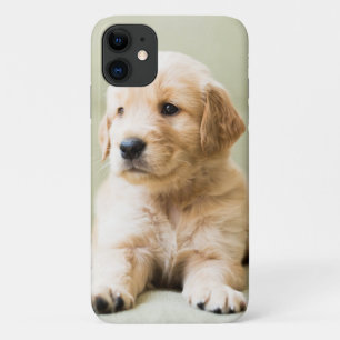 Golden Retriever Puppy op Couch Case-Mate iPhone Case