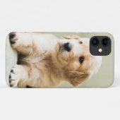 Golden Retriever Puppy op Couch Case-Mate iPhone Case (Achterkant (horizontaal))