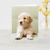 Golden Retriever Puppy op Couch Kaart (Gele Bloem)