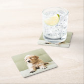 Golden Retriever Puppy op Couch Kartonnen Onderzetters (Insitu)