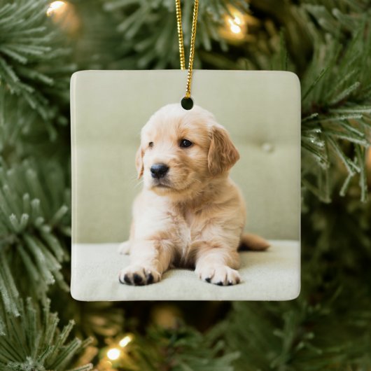 Golden Retriever Puppy op Couch Keramisch Ornament (Boom)