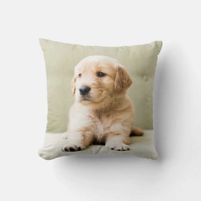 Golden Retriever Puppy op Couch Kussen (Voorkant)