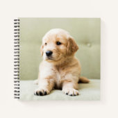 Golden Retriever Puppy op Couch Notitieboek (Voorkant)