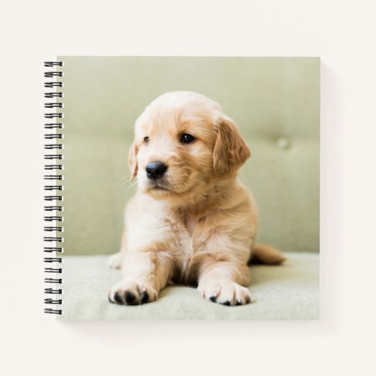 Golden Retriever Puppy op Couch Notitieboek (Voorkant)