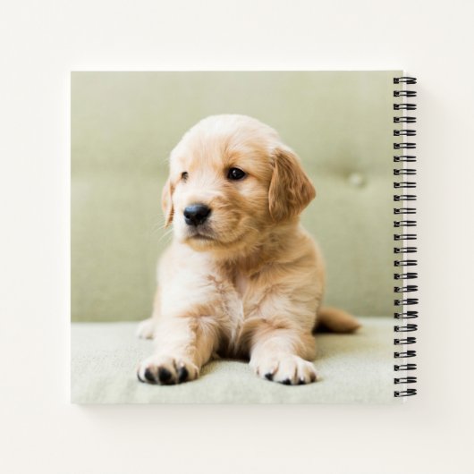 Golden Retriever Puppy op Couch Notitieboek (Achterkant)
