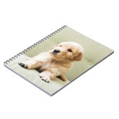 Golden Retriever Puppy op Couch Notitieboek (Linkerzijde)