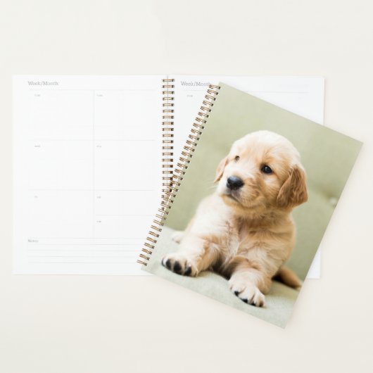 Golden Retriever Puppy op Couch Planner (Display)