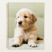 Golden Retriever Puppy op Couch Planner (Voorkant)