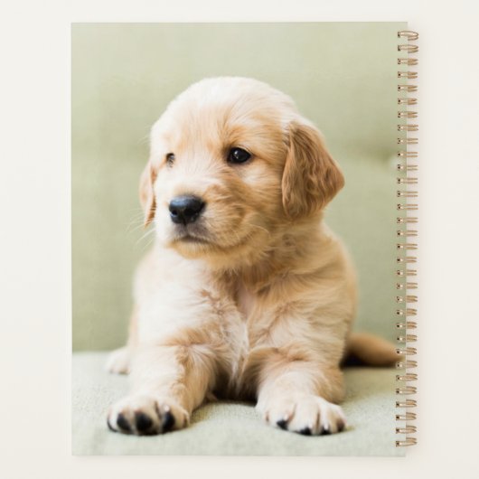 Golden Retriever Puppy op Couch Planner (Achterkant)