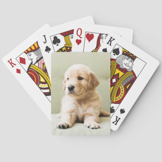 Golden Retriever Puppy op Couch Pokerkaarten (Achterkant)