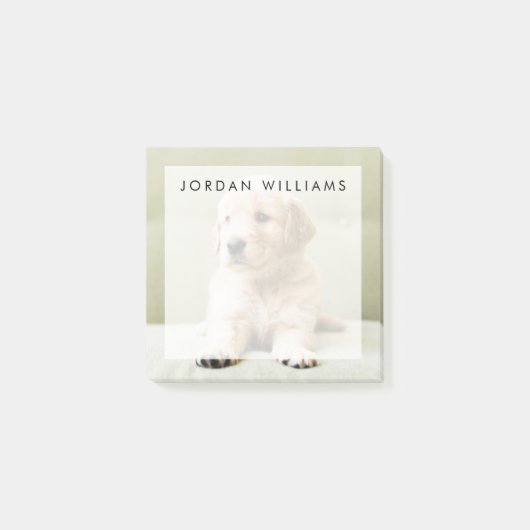 Golden Retriever Puppy op Couch Post-it® Notes (Voorkant)