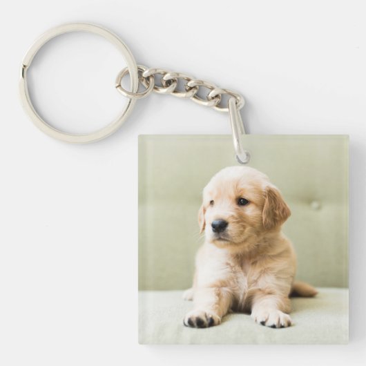 Golden Retriever Puppy op Couch Sleutelhanger (Voorkant)